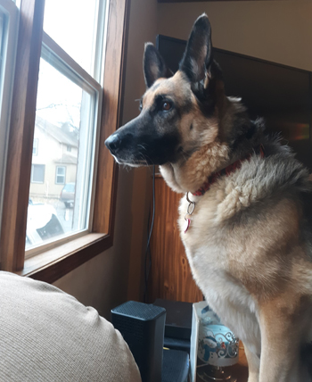Roxie